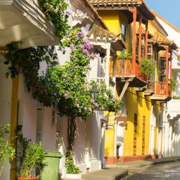 Colombia Vacation: On the Trail of Coffee and Gold