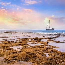 Sunset at Neil Island - part of the Andamans in India