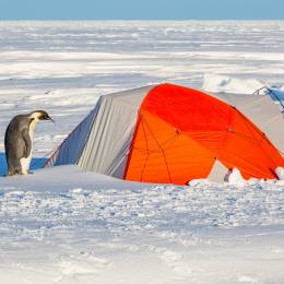 Things to do in Antarctica - Camping