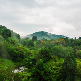 National park around Kiyomizu temple