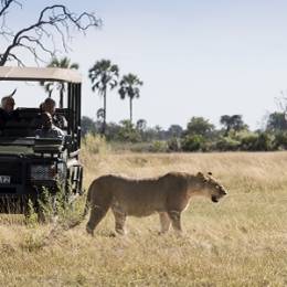 Okavango