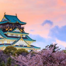 Enchanting Travels Japan Tours Twilight at Osaka castle during Cherry blossoms season in Osaka, Japan - History of Japan