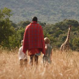 Go on a nature walk to spot animals