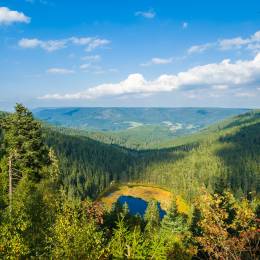 The Huzenbacher lake near Baiersbronn, Black Forest, Germany Tour