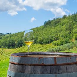 Things to do in Croatia and Slovenia - Istria