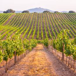 Alentejo region, Portugal