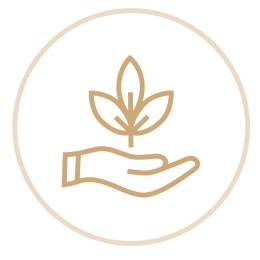 Carbon Offsetting with Enchanting Travels