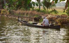 Man in Kerala Backwaters