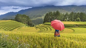 Mai Chau in Vietnam Vietnam Rundreise: von Hanoi nach Ho Chi Minh Stadt