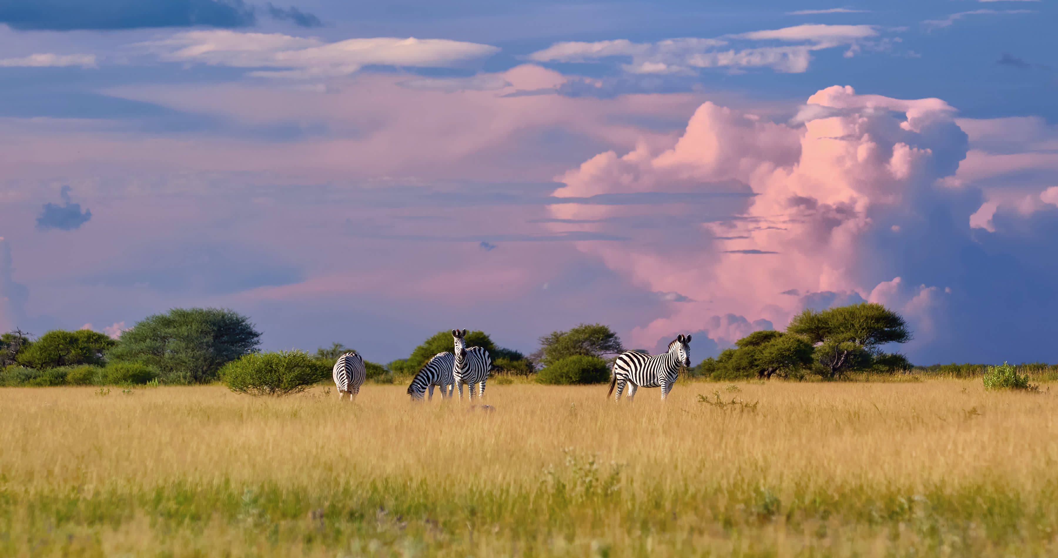 skyways travel botswana