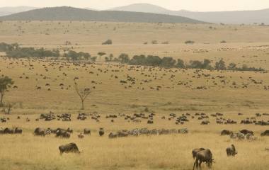 Tansania, Botswana und Sambia: Safaris und Viktoriafälle