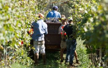 Die schönsten Weinanbaugebiete der Welt: unsere Auslese