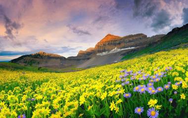 south africa and lesotho road trip