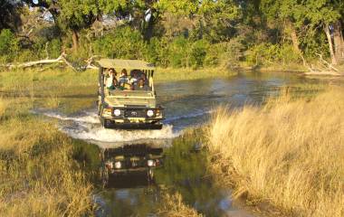 Discover the Best Time to Visit the Okavango Delta