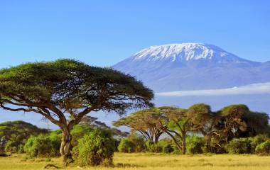 Kilimanjaro, Kenia