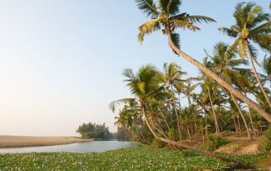  Temples, Traditions and Beach