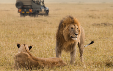 Tansania, Botswana und Sambia: Safaris und Viktoriafälle