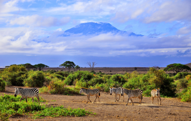 Las mejores experiencias de safari en el delta del Okavango