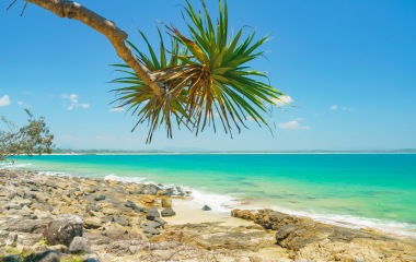 Australien Roadtrip: Highlights der Ostküste