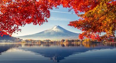 Enchanting Travels Japan Tours Colorful Autumn Season and Mountain Fuji with morning fog and red leaves at lake Kawaguchiko is one of the best places in Japan