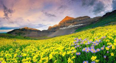 Roadtrip in Südafrika und Lesotho: Drakensberge und Wild Coast