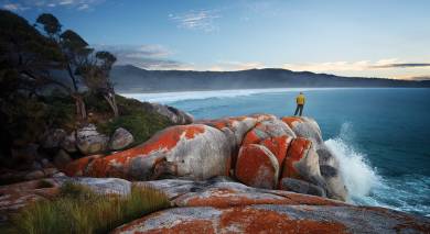Australien Roadtrip: Tasmaniens Naturwunder