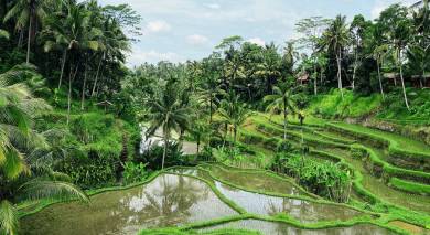 Java und Bali: naturnah und nachhaltig