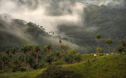 Monteverde Cloud Forest, Costa Rica