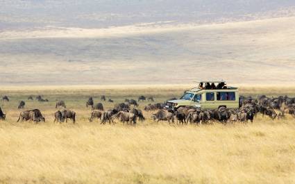 Tanzania is a COVID-19 safe safaris option