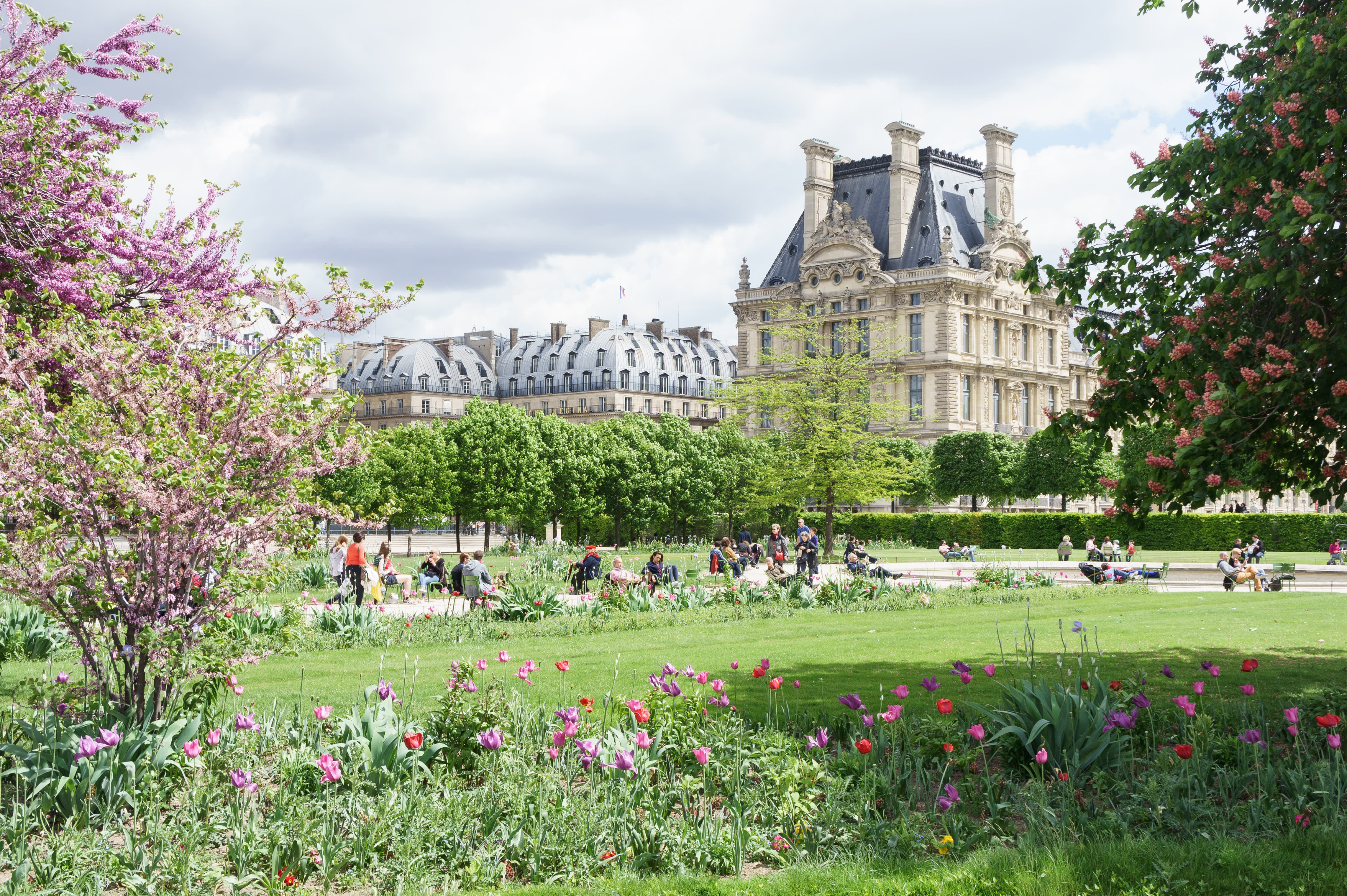 Louvre palace and Tuileries garden view in Paris, France.