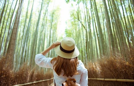 Japanische Traditionen – eine spirituelle Reise in das Land der Kontraste