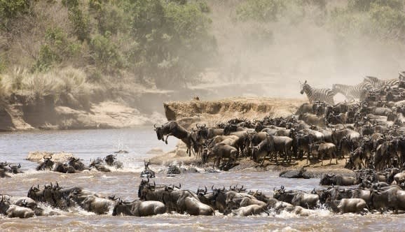 Die Great Migration 