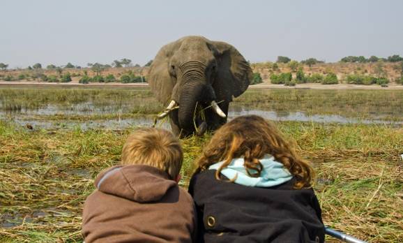 Bootssfari im Okavango Delta