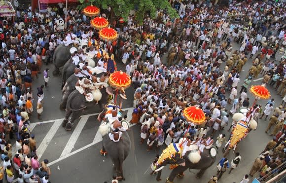 Parade mit Menschen und Elefanten in Kerala