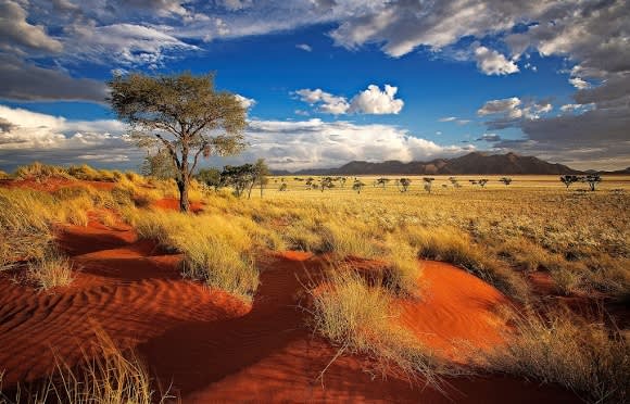 Red dunes of Namibia in a private nature reserve in Namibia