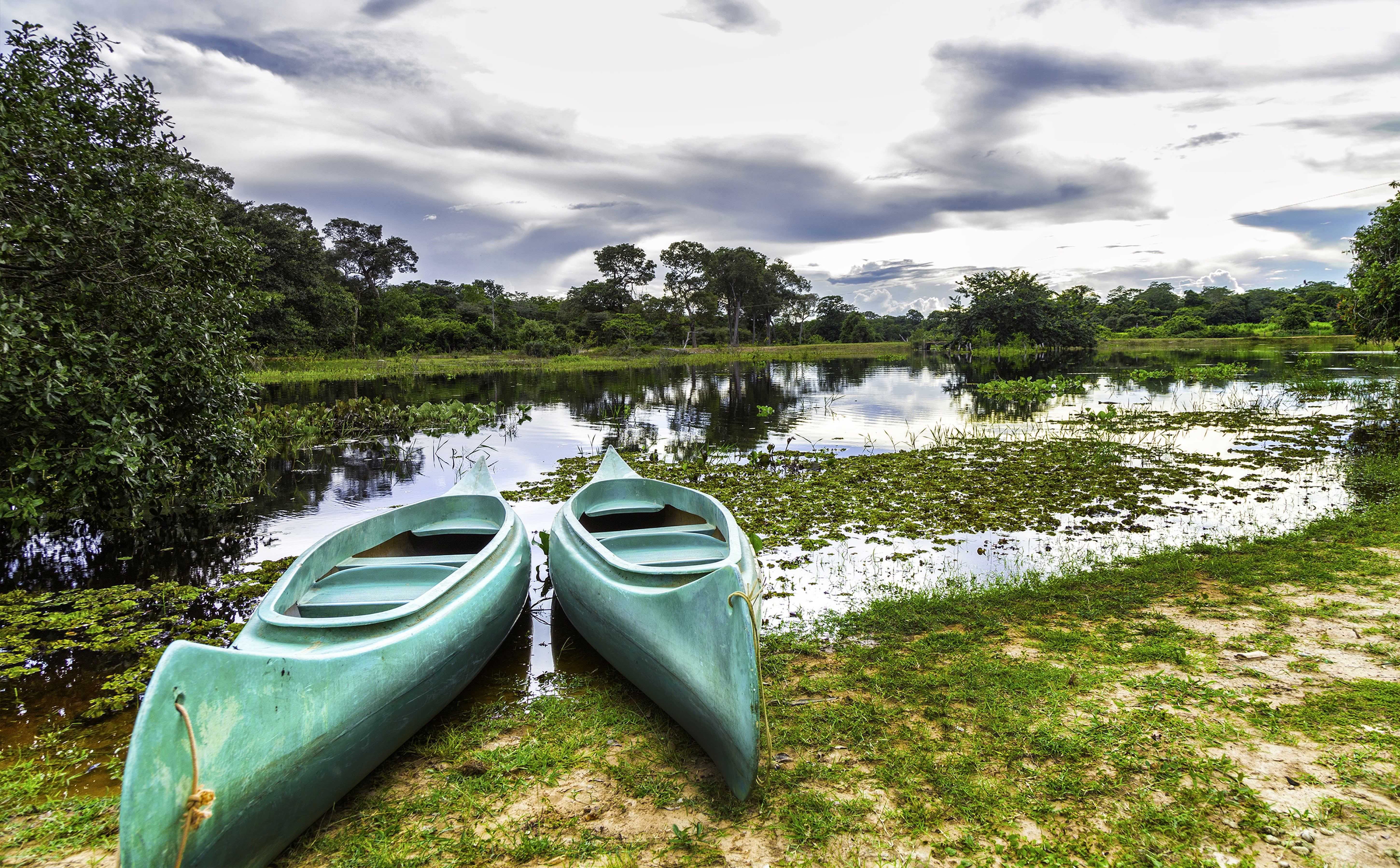 Das Sumpfgebiet Pantanal