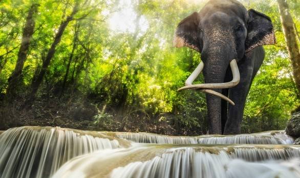 Erawanfälle, Kanchanaburi in Thailand