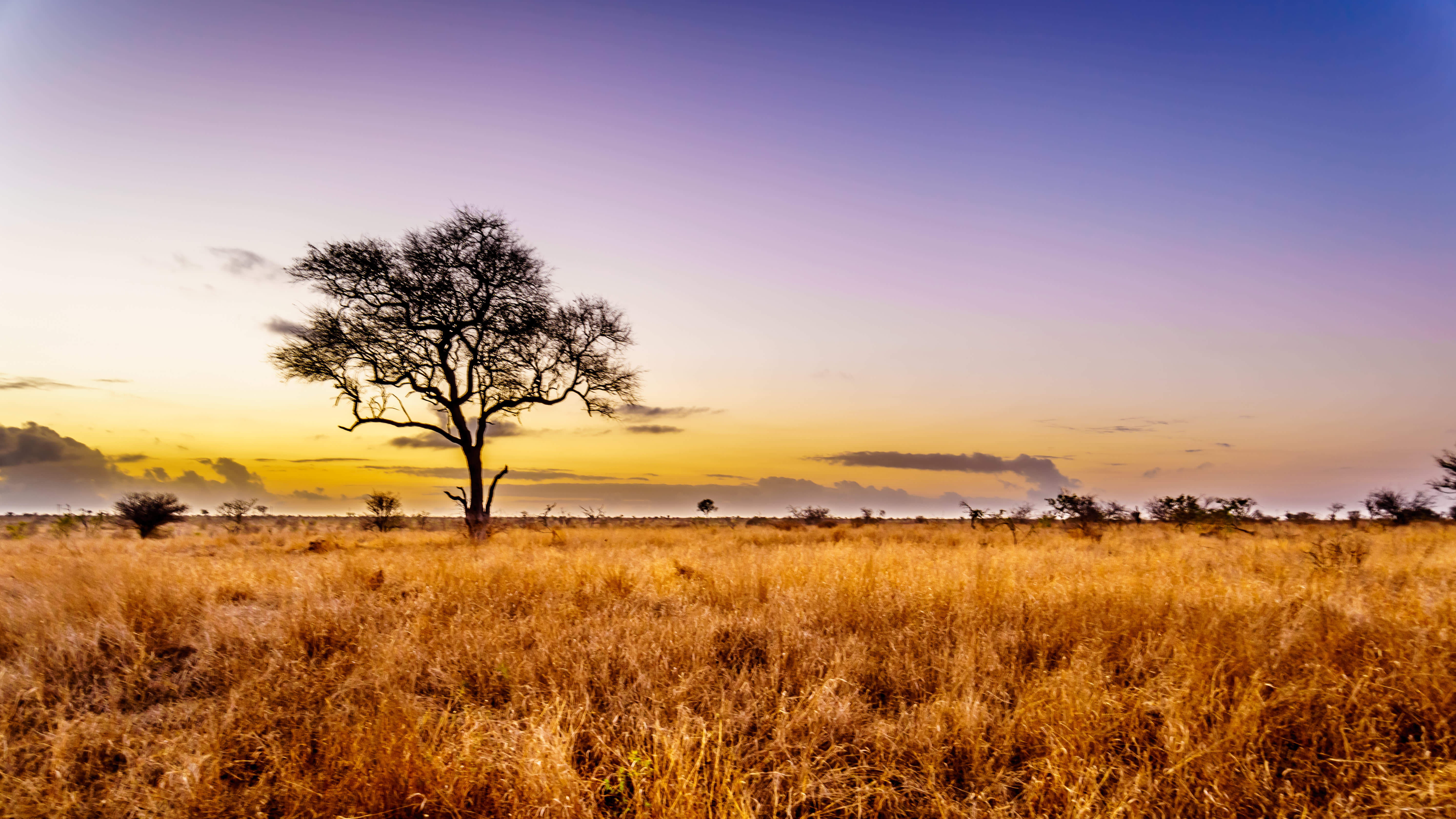 How to Choose the Right Safari Destination