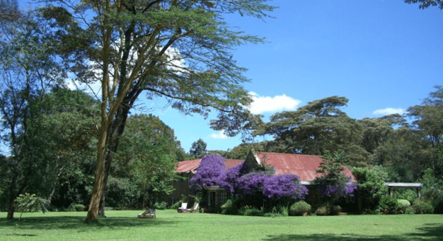 More Reasons to Tour Africa: Top Nine Movies Set in the Wild