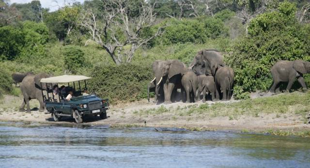 Africa safaris: Top 5 things to do at the Okavango Delta