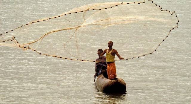 Fishermen In Malawi Catching fresh fish