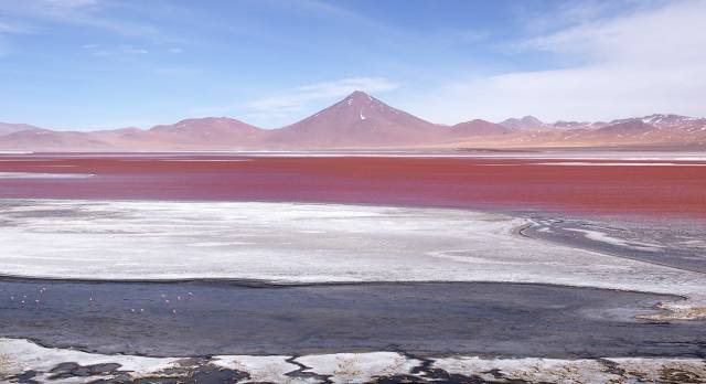 Laguna Colorada bei Ojo de Perdiz in der Uyuniwüste