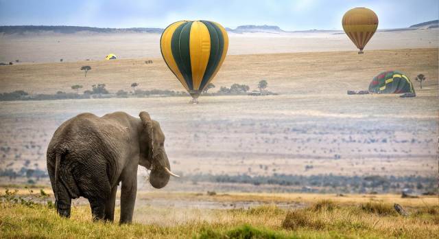 Ballonfahrt über die Masai Mara