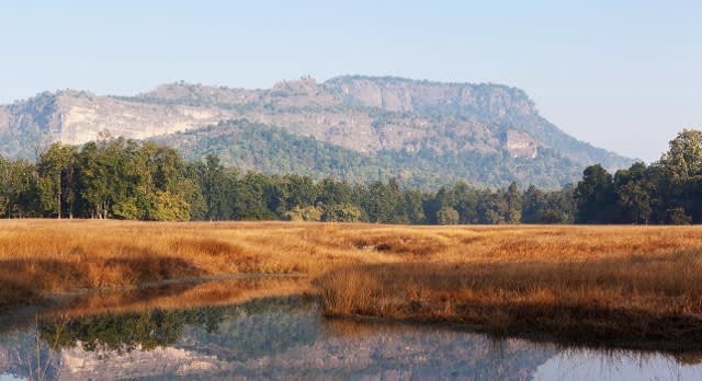 Indischer Dschungel: Weite, offene Graslandschaft in Indien mit Gebirge im Hintergrund