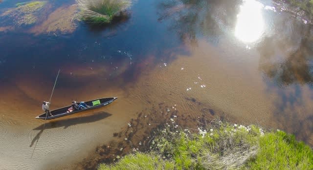 Botswana Safari: Your Wildest Dreams