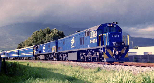 Top 5 Unique Train Experiences Not to Miss!