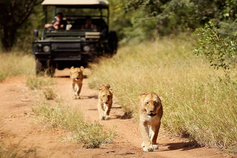 best safari in sa