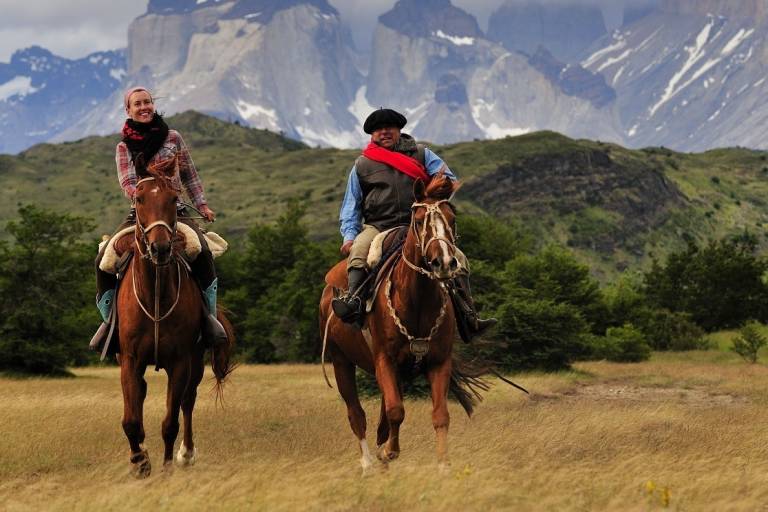 Discover the Enchanting World of Bild vom Pferd: A Journey Through Art, History, and Personal Expression