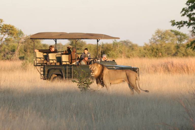 The Best Ever Luxury Safari Tours In Zimbabwe For You