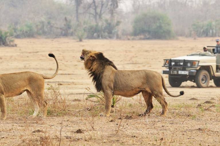 Top Five Best African Safari Parks You Have To See 